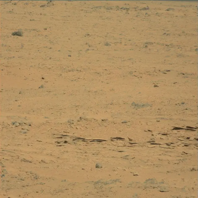 Sol 53: Mast Camera (Mastcam)