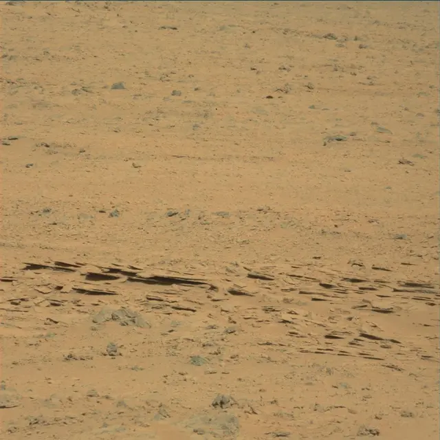 Sol 53: Mast Camera (Mastcam)