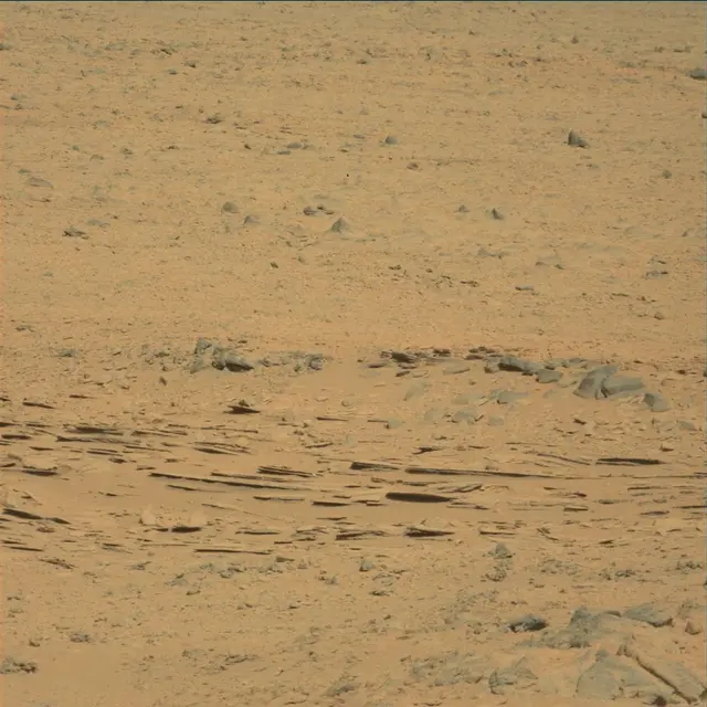 Sol 53: Mast Camera (Mastcam)