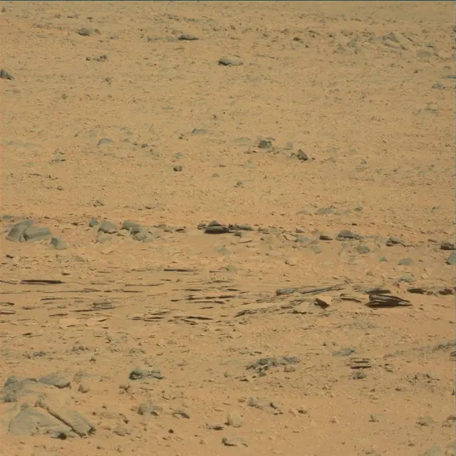 Sol 53: Mast Camera (Mastcam)