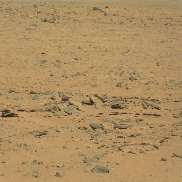 Sol 53: Mast Camera (Mastcam)