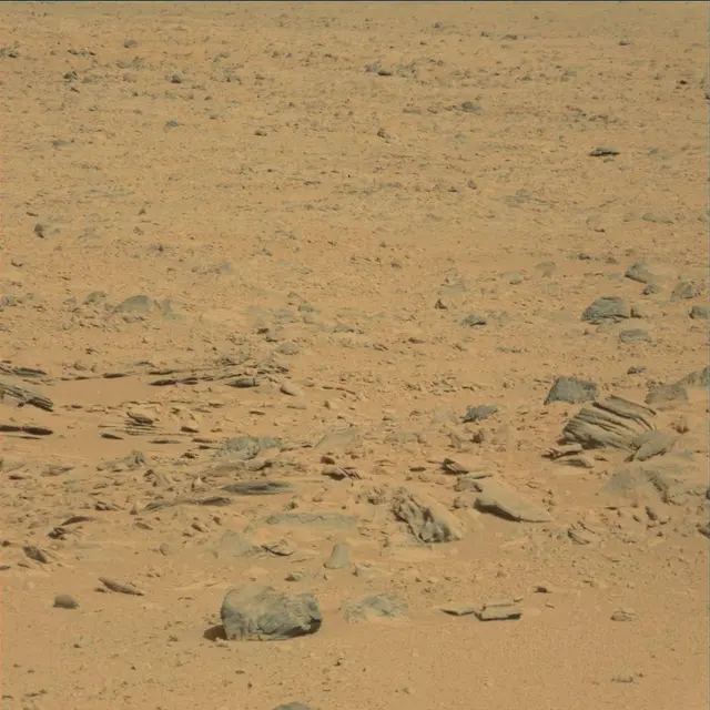 Sol 53: Mast Camera (Mastcam)