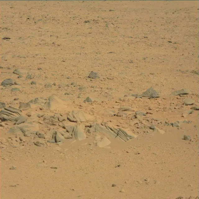 Sol 53: Mast Camera (Mastcam)