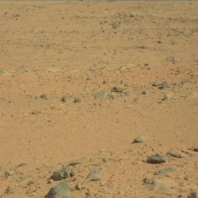 Sol 53: Mast Camera (Mastcam)