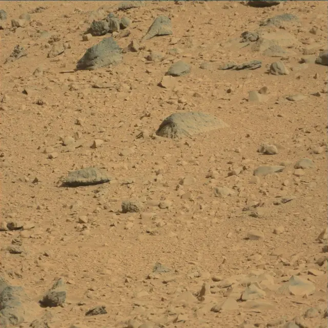 Sol 53: Mast Camera (Mastcam)
