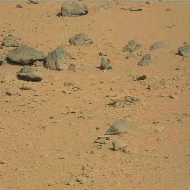 Sol 53: Mast Camera (Mastcam)
