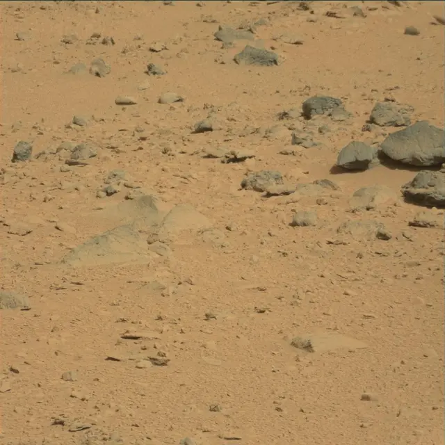 Sol 53: Mast Camera (Mastcam)