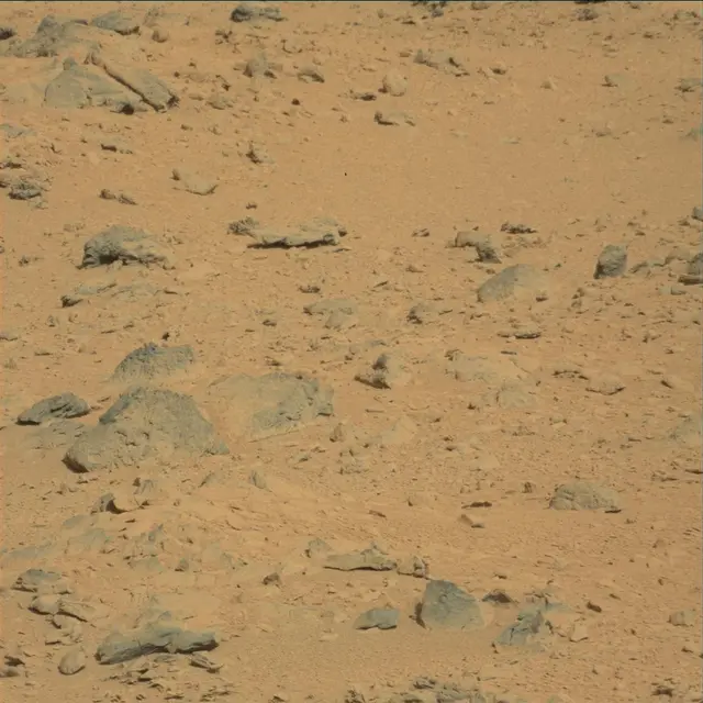 Sol 53: Mast Camera (Mastcam)