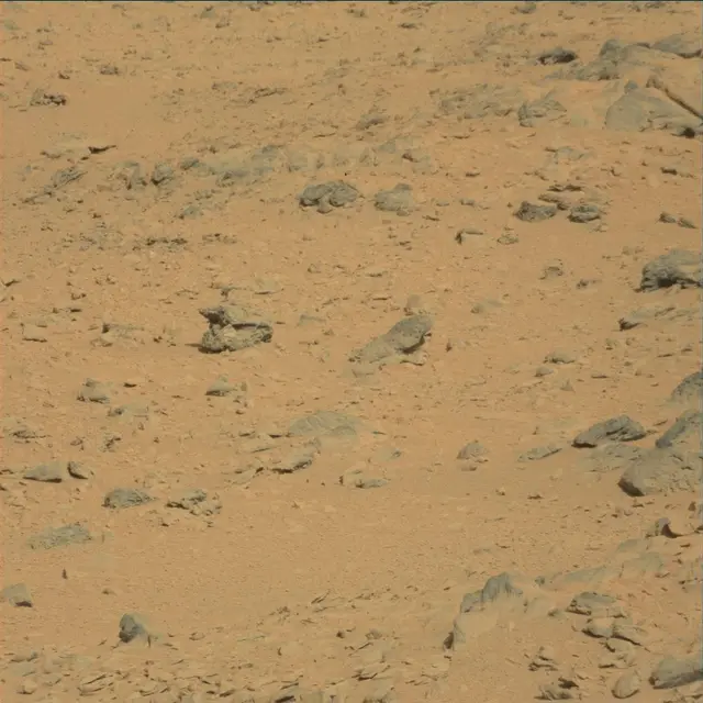 Sol 53: Mast Camera (Mastcam)