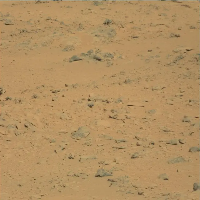 Sol 53: Mast Camera (Mastcam)