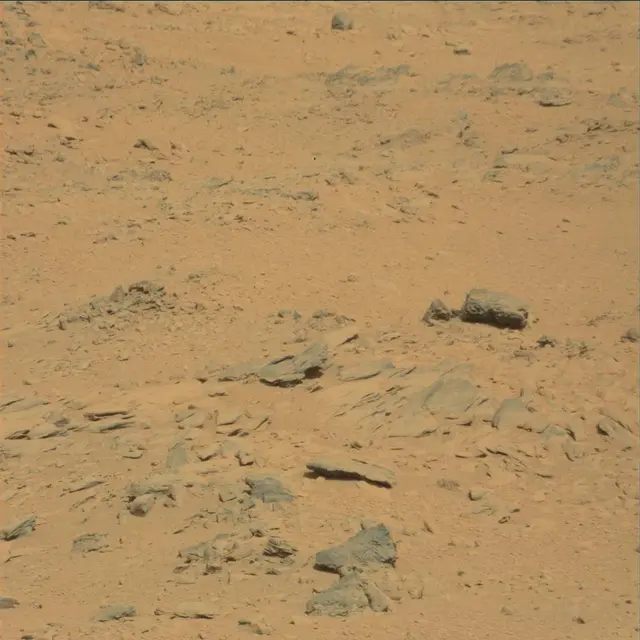 Sol 53: Mast Camera (Mastcam)