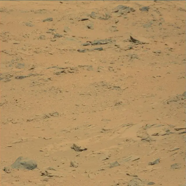 Sol 53: Mast Camera (Mastcam)