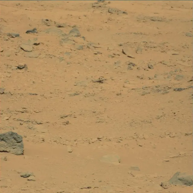 Sol 53: Mast Camera (Mastcam)