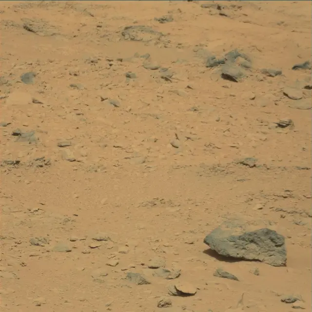 Sol 53: Mast Camera (Mastcam)