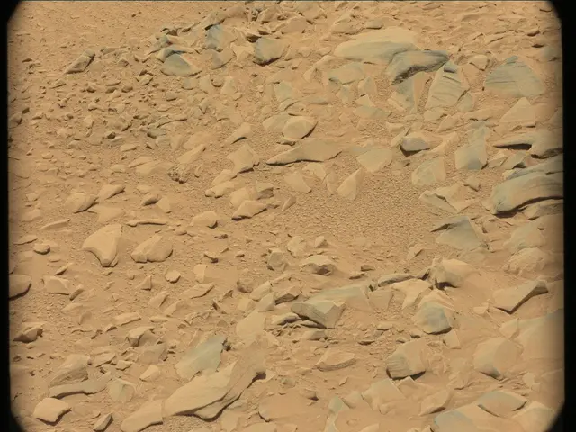 Sol 54: Mast Camera (Mastcam)