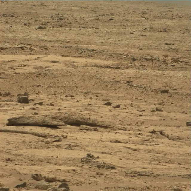 Sol 54: Mast Camera (Mastcam)