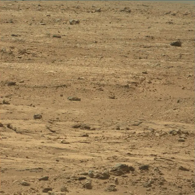 Sol 54: Mast Camera (Mastcam)