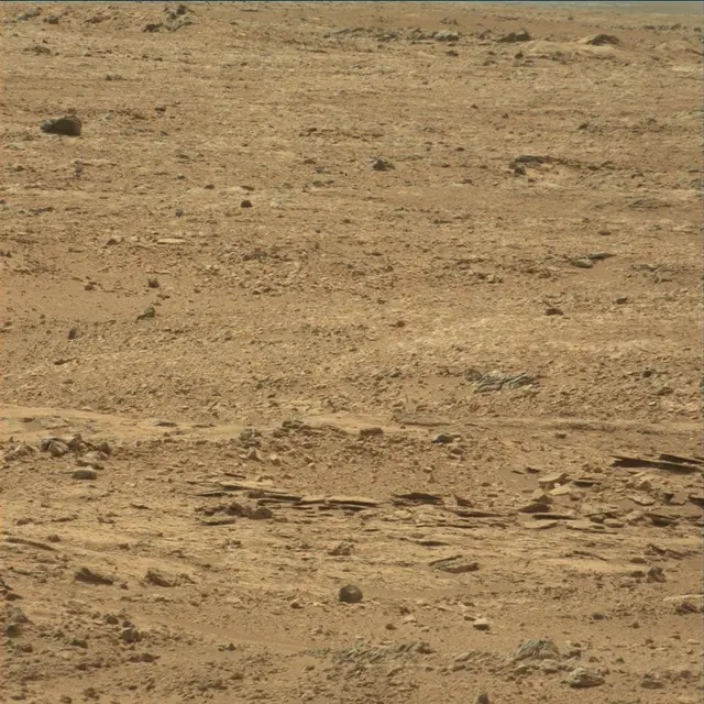 Sol 54: Mast Camera (Mastcam)