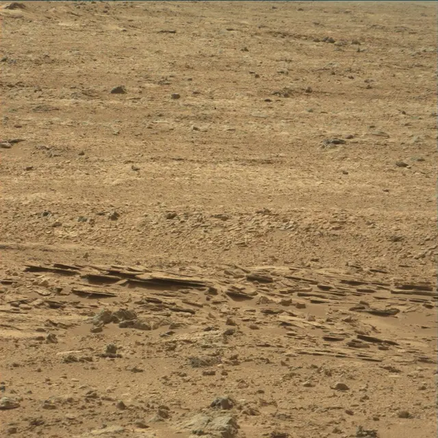 Sol 54: Mast Camera (Mastcam)
