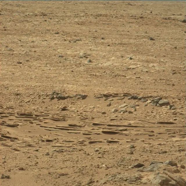 Sol 54: Mast Camera (Mastcam)