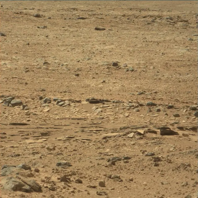 Sol 54: Mast Camera (Mastcam)