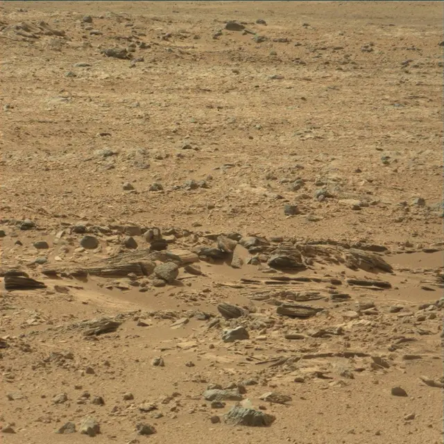 Sol 54: Mast Camera (Mastcam)