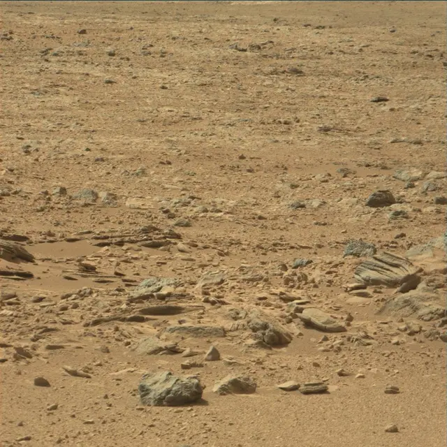 Sol 54: Mast Camera (Mastcam)