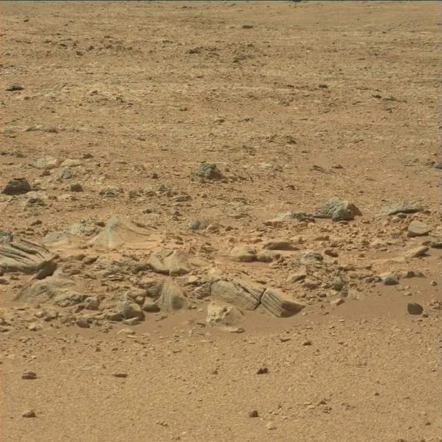 Sol 54: Mast Camera (Mastcam)