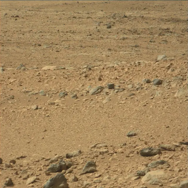 Sol 54: Mast Camera (Mastcam)