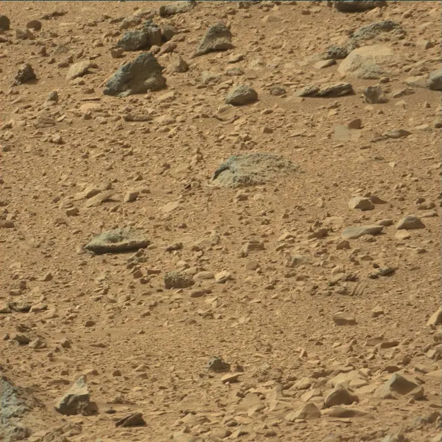 Sol 54: Mast Camera (Mastcam)