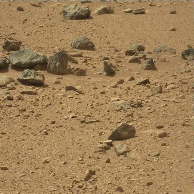 Sol 54: Mast Camera (Mastcam)