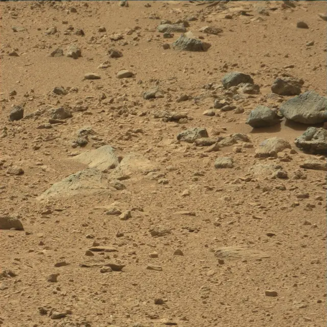 Sol 54: Mast Camera (Mastcam)