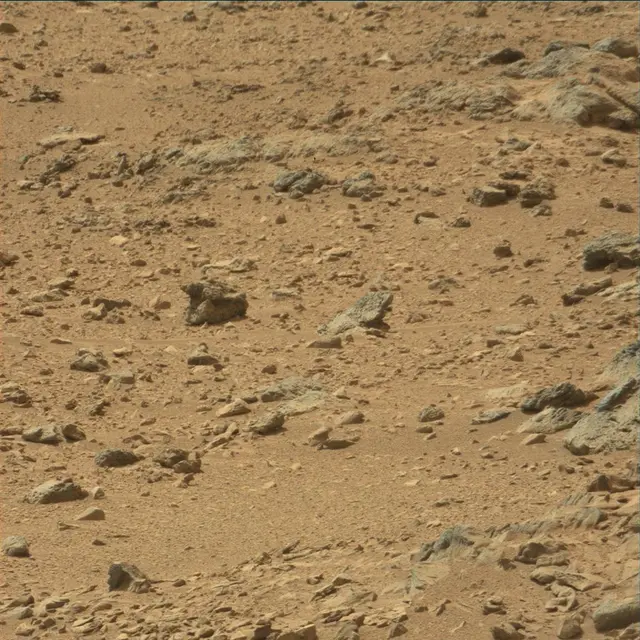 Sol 54: Mast Camera (Mastcam)