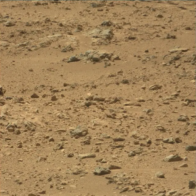 Sol 54: Mast Camera (Mastcam)