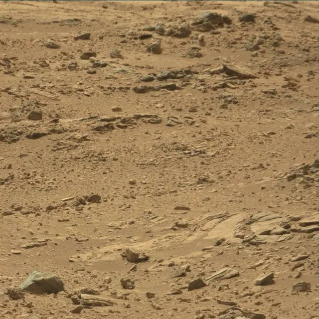 Sol 54: Mast Camera (Mastcam)