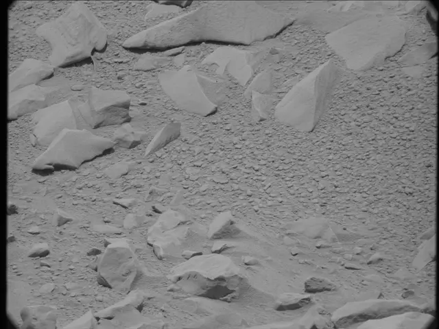 Sol 54: Mast Camera (Mastcam)