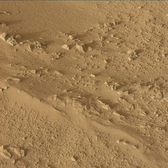 Sol 55: Mast Camera (Mastcam)