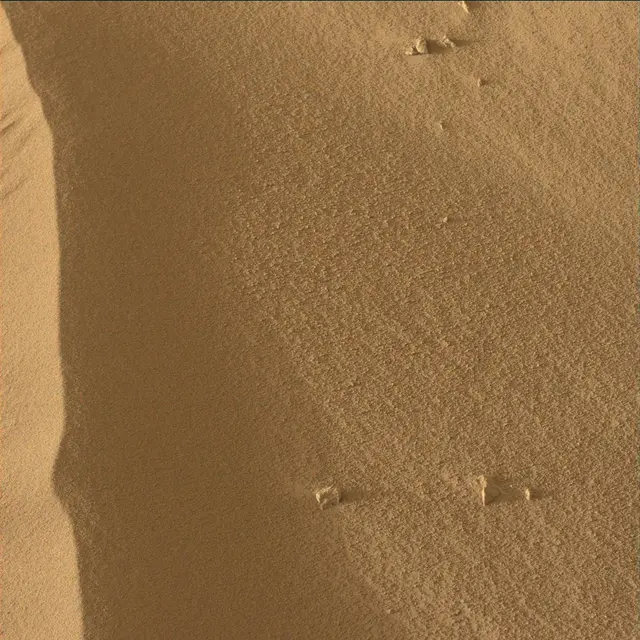 Sol 55: Mast Camera (Mastcam)