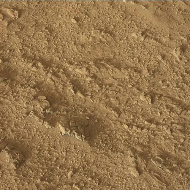 Sol 55: Mast Camera (Mastcam)