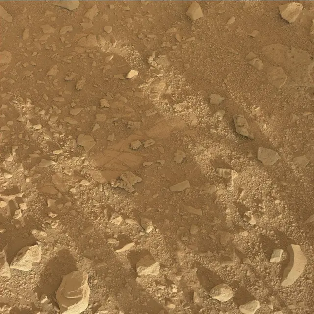 Sol 55: Mast Camera (Mastcam)