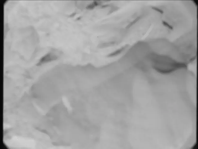 Sol 55: Mast Camera (Mastcam)