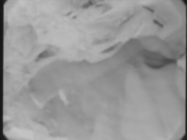 Sol 55: Mast Camera (Mastcam)