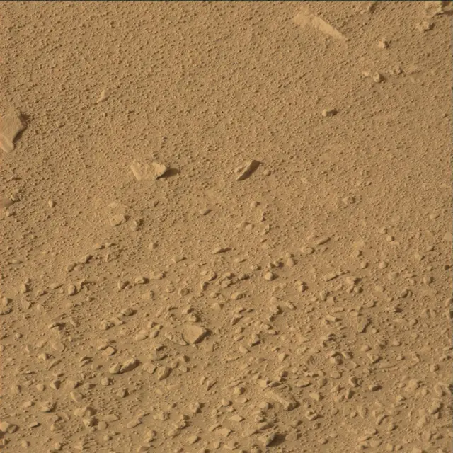 Sol 55: Mast Camera (Mastcam)