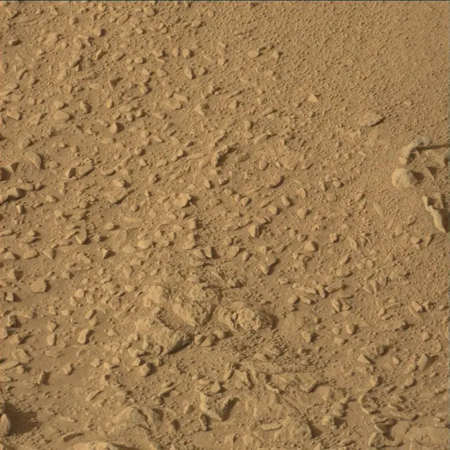 Sol 55: Mast Camera (Mastcam)