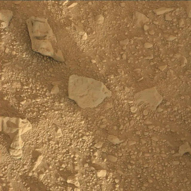 Sol 55: Mast Camera (Mastcam)