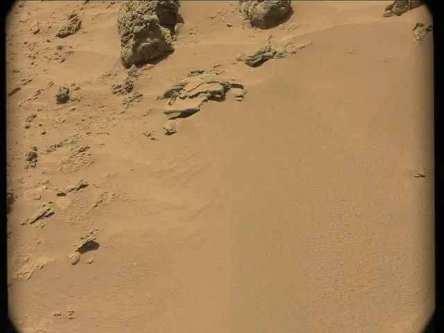 Sol 56: Mast Camera (Mastcam)