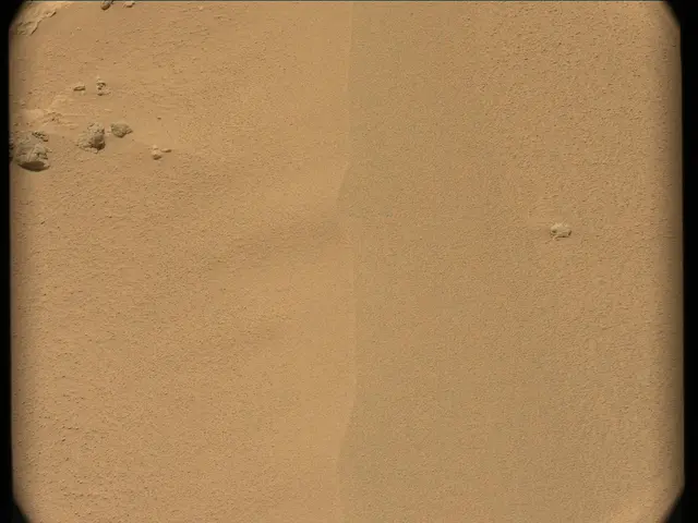Sol 56: Mast Camera (Mastcam)
