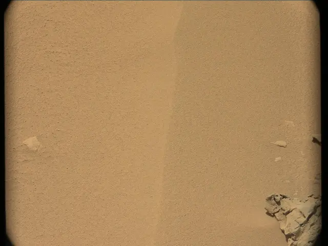 Sol 56: Mast Camera (Mastcam)