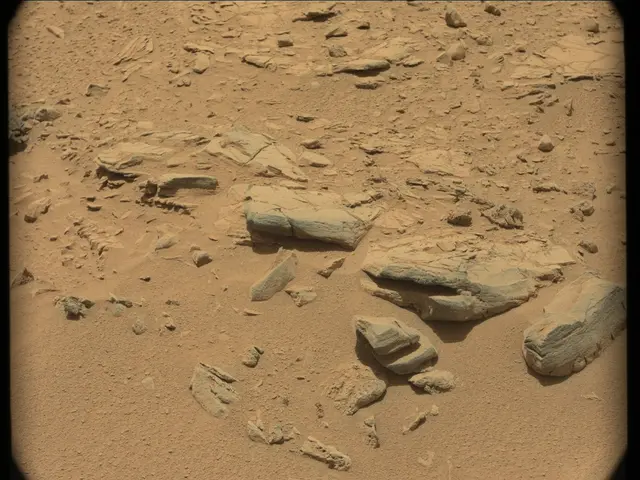 Sol 56: Mast Camera (Mastcam)