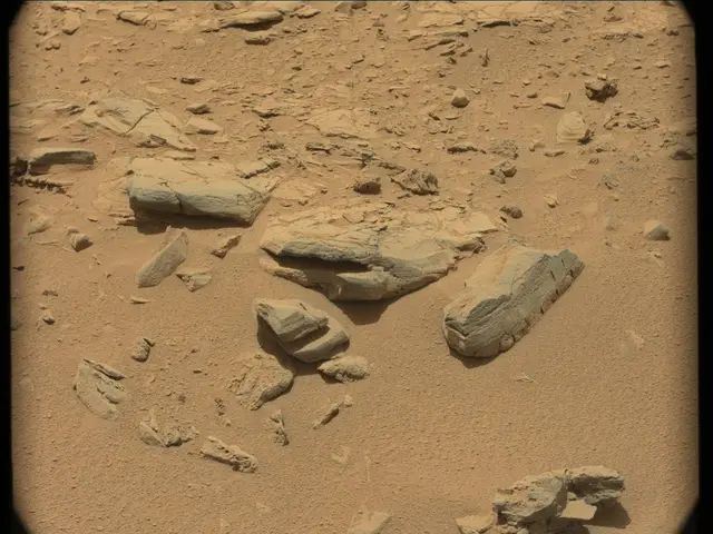 Sol 56: Mast Camera (Mastcam)
